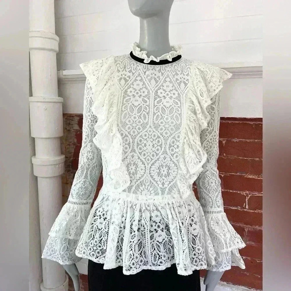 Amaryllis Lace High Neck Blouse Ruffles Long Sleeve New Romantic Sheer - Picture 7 of 15